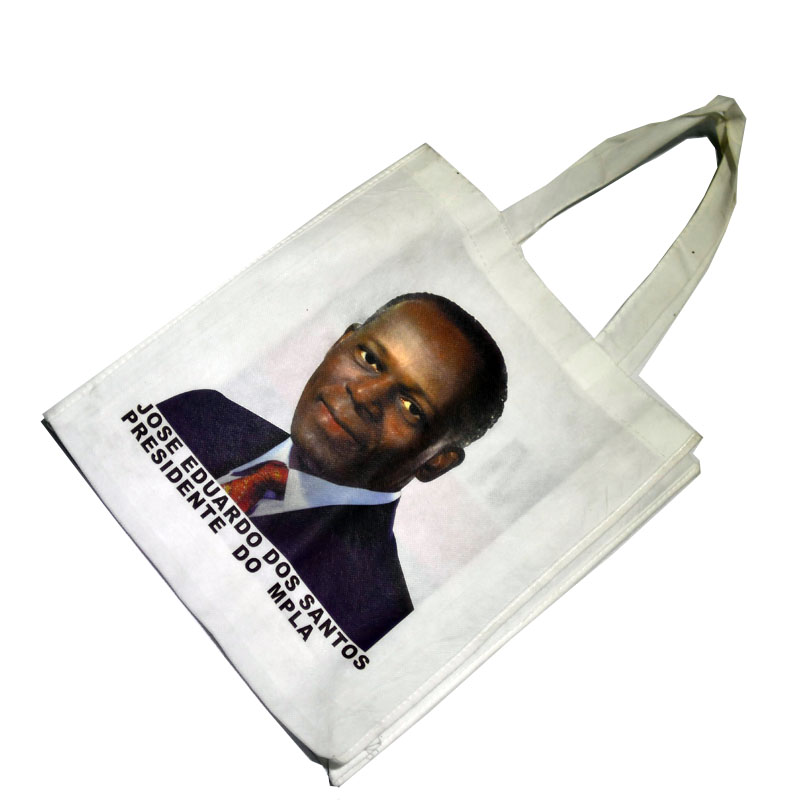 2027 Angola election Bag